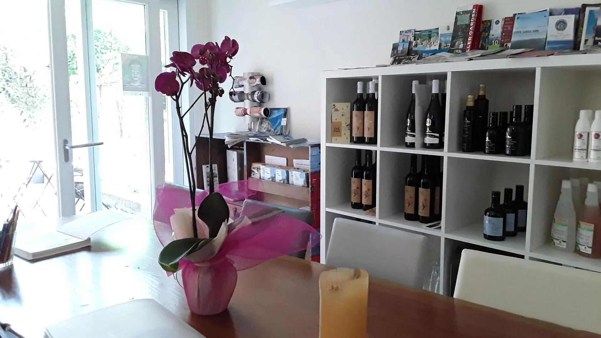 Ca' Due Olivi Apartment Toscolano Maderno